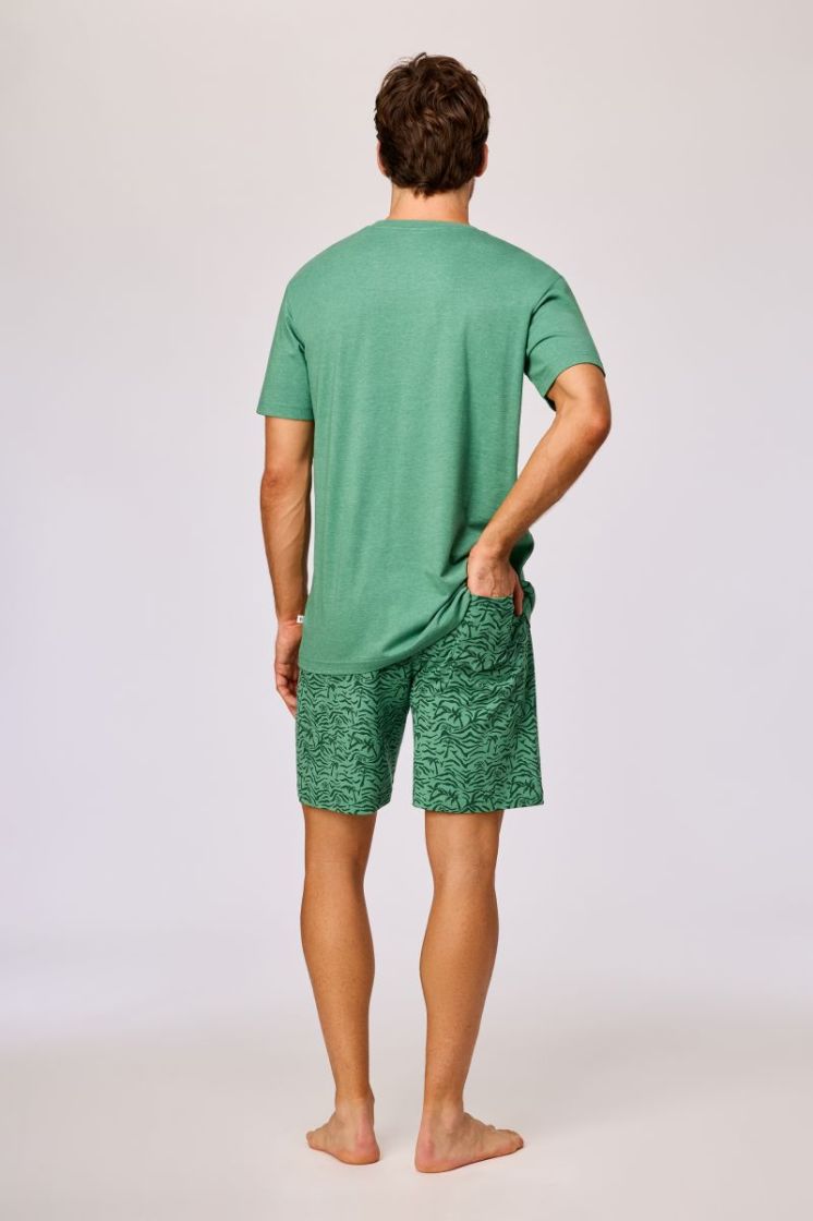  742 GROEN