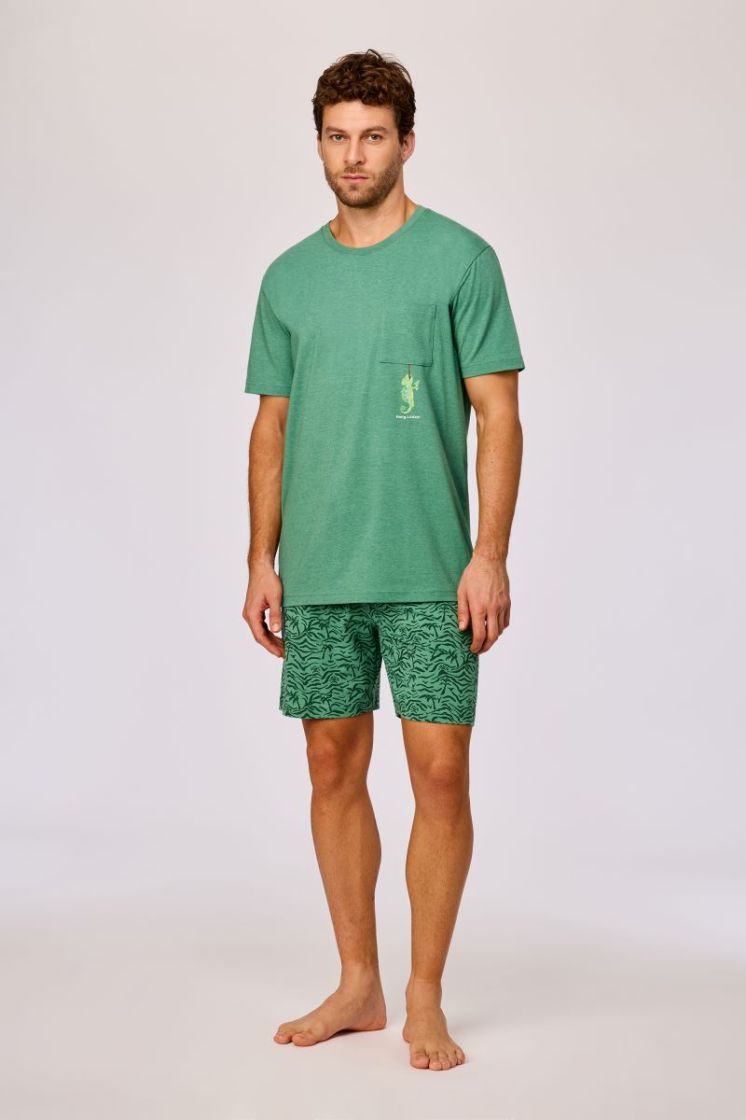  742 GROEN